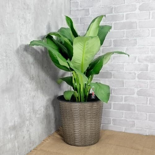 10.2 Self - watering Wicker Decor Planter for Indoor and Outdoor - Round - Grey - Tuesday Morning - Pots & Planters