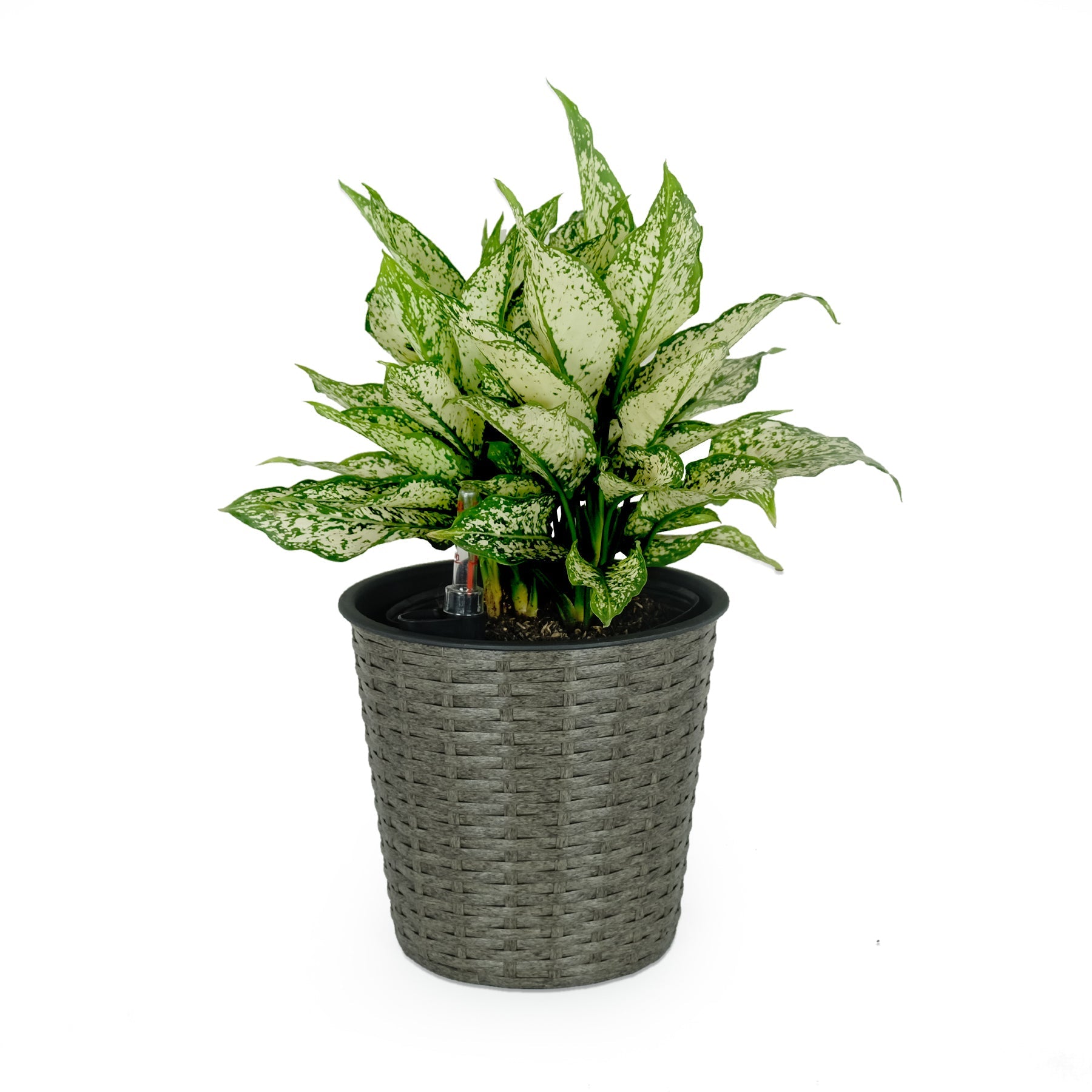 10.2 Self - watering Wicker Decor Planter for Indoor and Outdoor - Round - Grey - Tuesday Morning - Pots & Planters