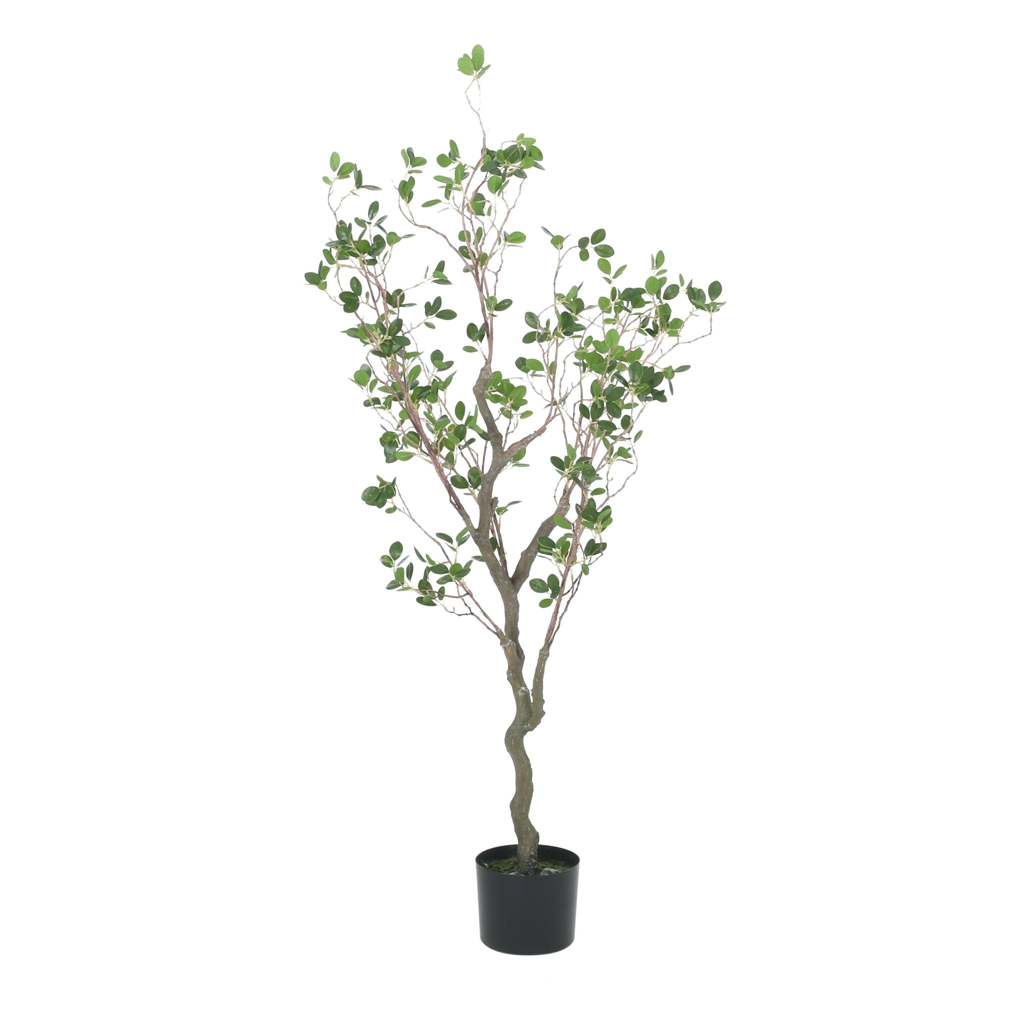 120CMARTIFICIAL MILAN LEAF BONSAI - Tuesday Morning - Pots & Planters