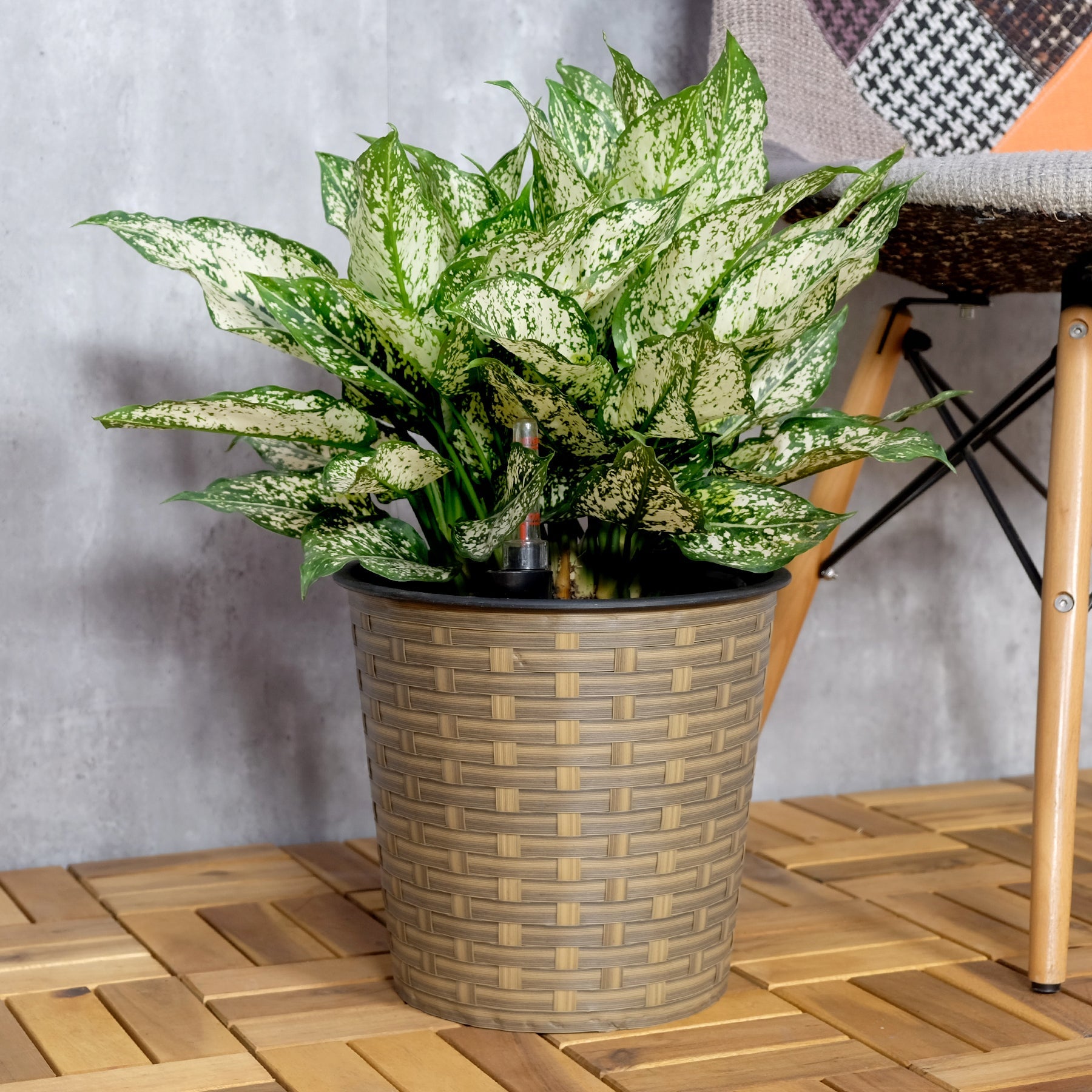 13.4 Self - watering Wicker Decor Planter for Indoor and Outdoor - Round - Natural - Tuesday Morning - Pots & Planters