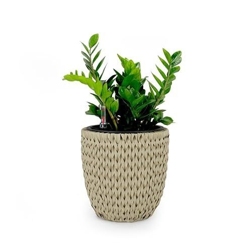 14.6 Self - watering Wicker Planter - Garden Decoration Pot - Beige - Round - Tuesday Morning - Pots & Planters