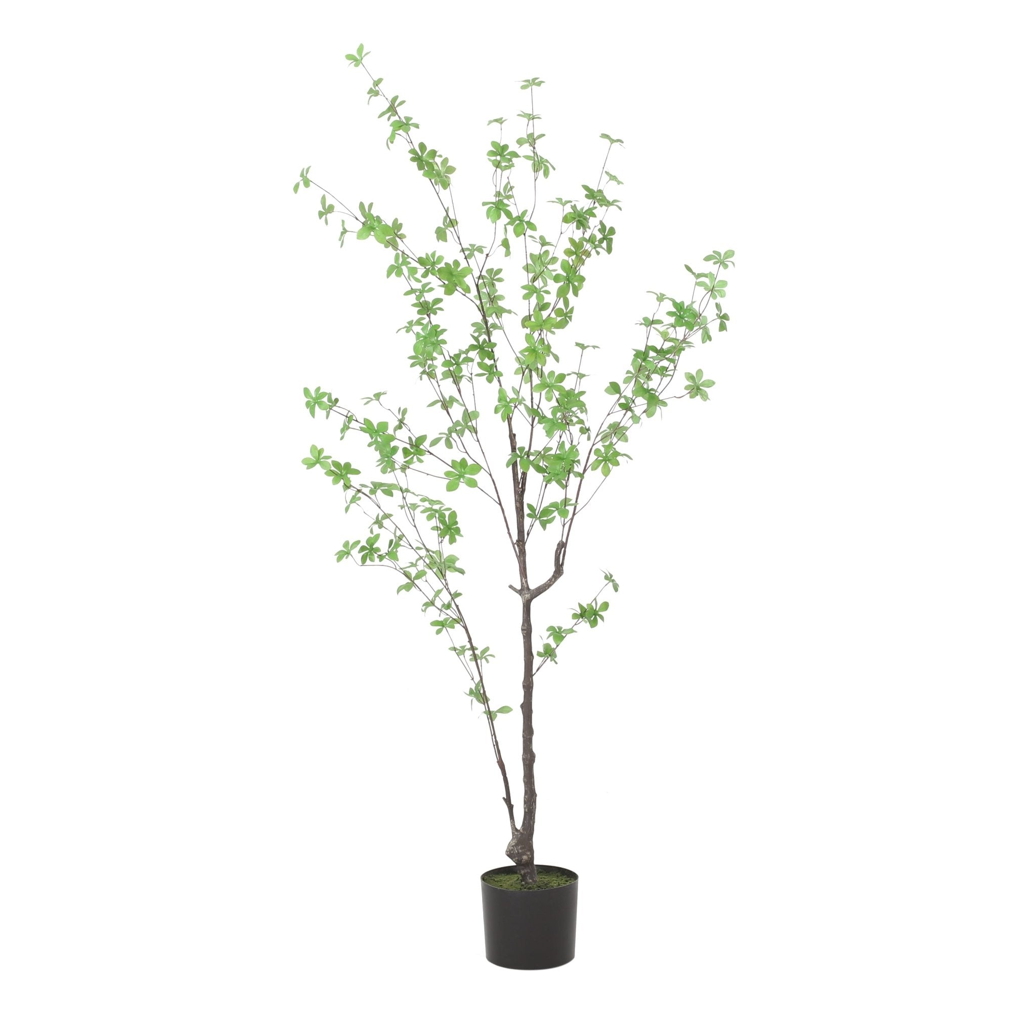 150CM ARTIFICIAL DISC LEAF TREE - Tuesday Morning - Faux Trees