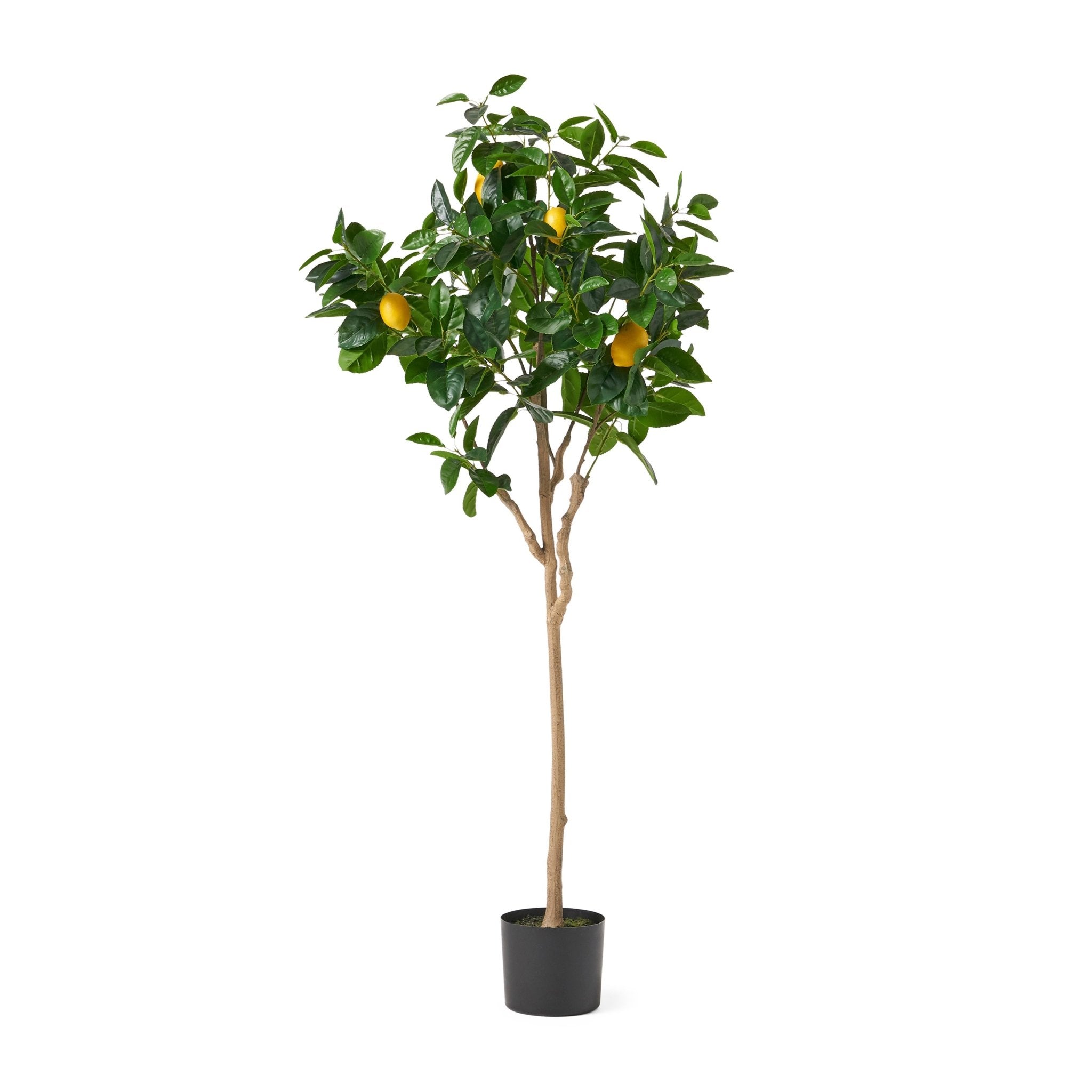 150CM ARTIFICIAL LEMON TREE - Tuesday Morning - Faux Trees