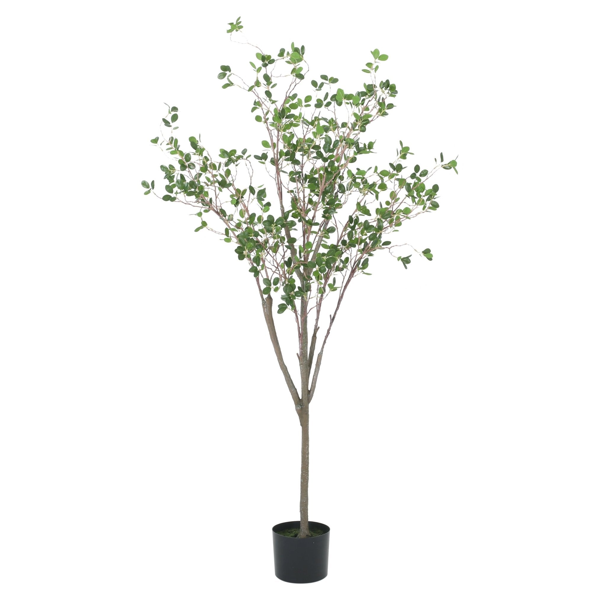 150CM ARTIFICIAL MILAN LEAF BONSAI - Tuesday Morning - Faux Trees