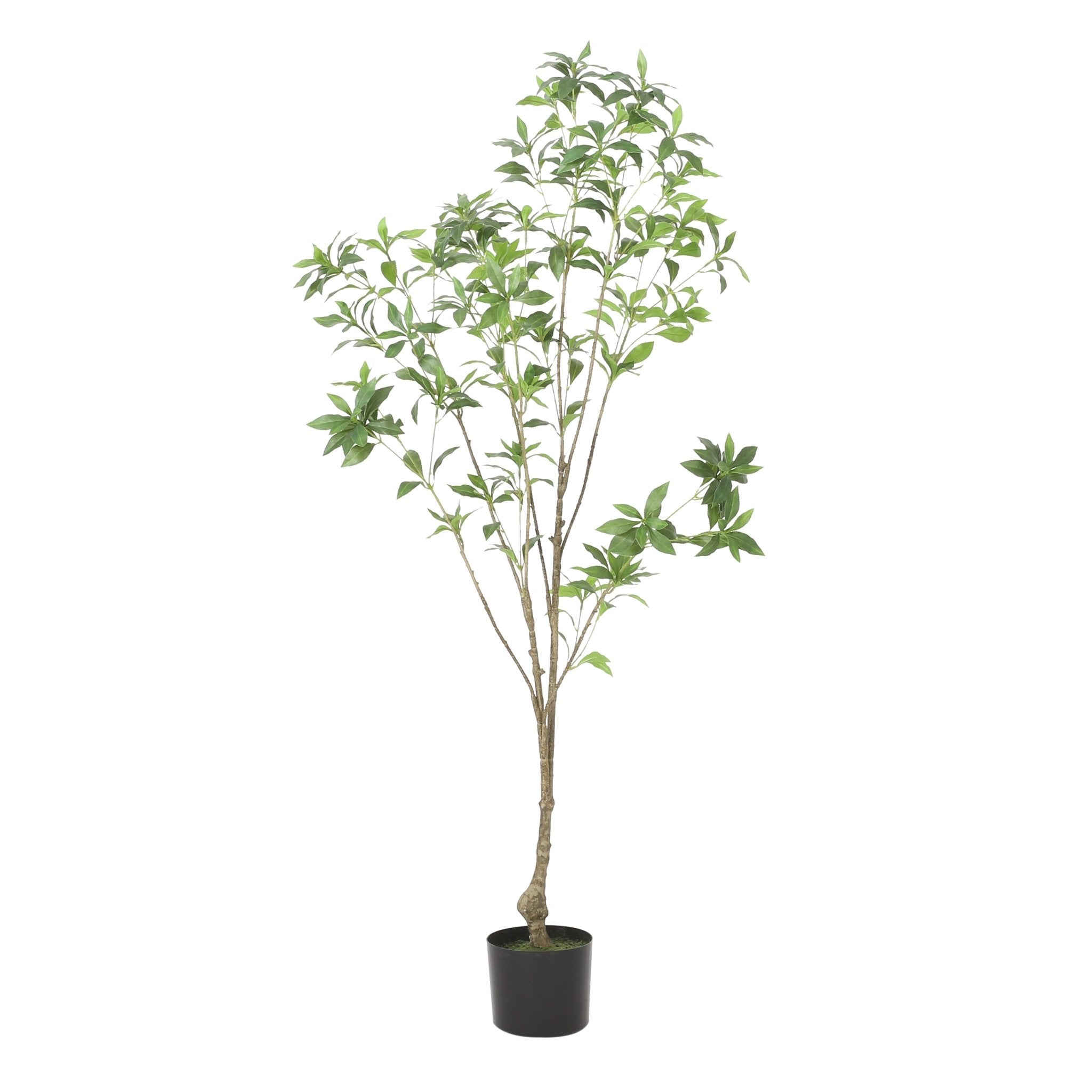 150CMARTIFICIAL PIERIS TREE - Tuesday Morning - Faux Trees