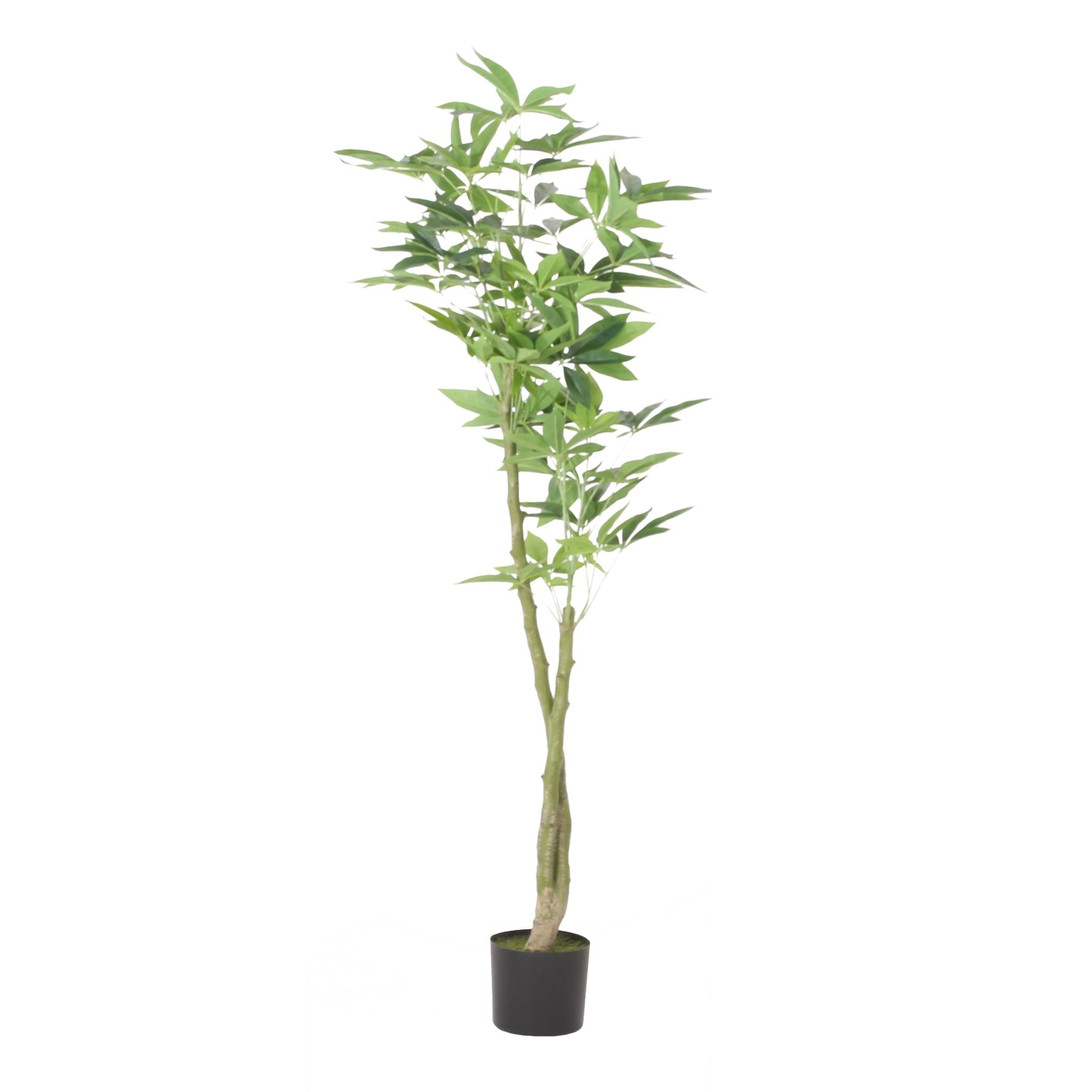 160CM ARTIFICIAL PACHIRA MACROCARPA - Tuesday Morning - Faux Trees