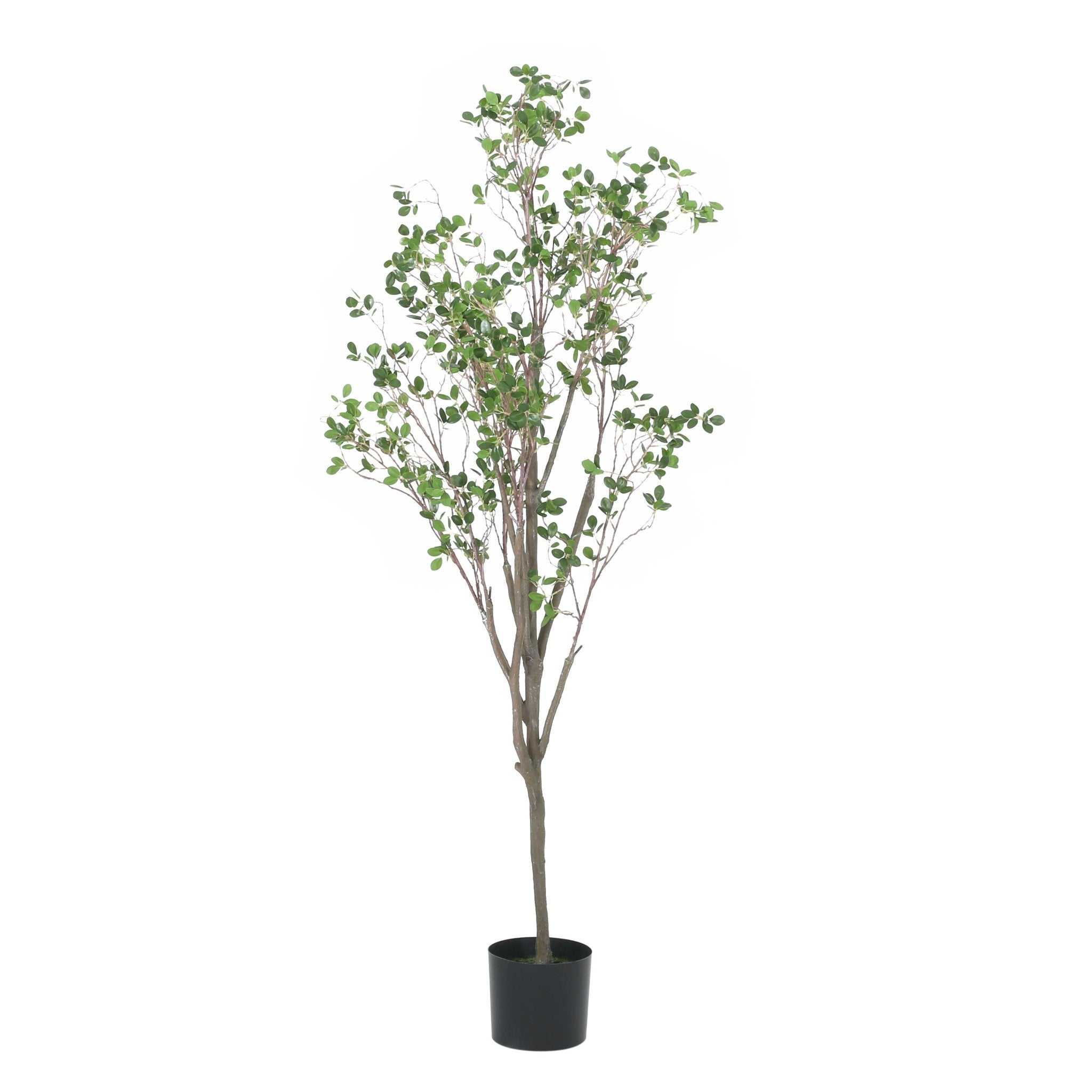 180CM ARTIFICIAL MILAN LEAF BONSAI - Tuesday Morning - Faux Trees