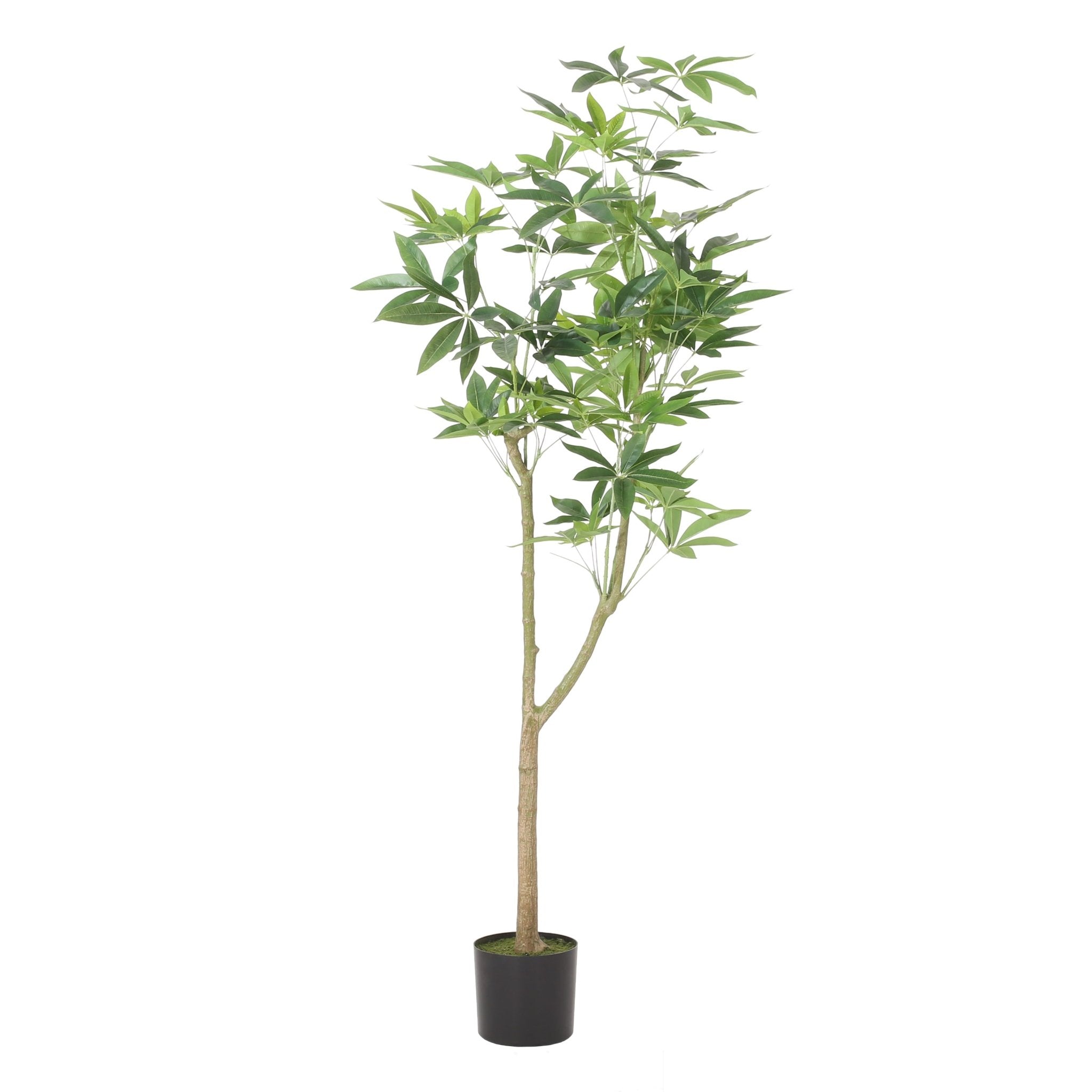 180CM ARTIFICIAL PACHIRA MACROCARPA - Tuesday Morning - Faux Trees