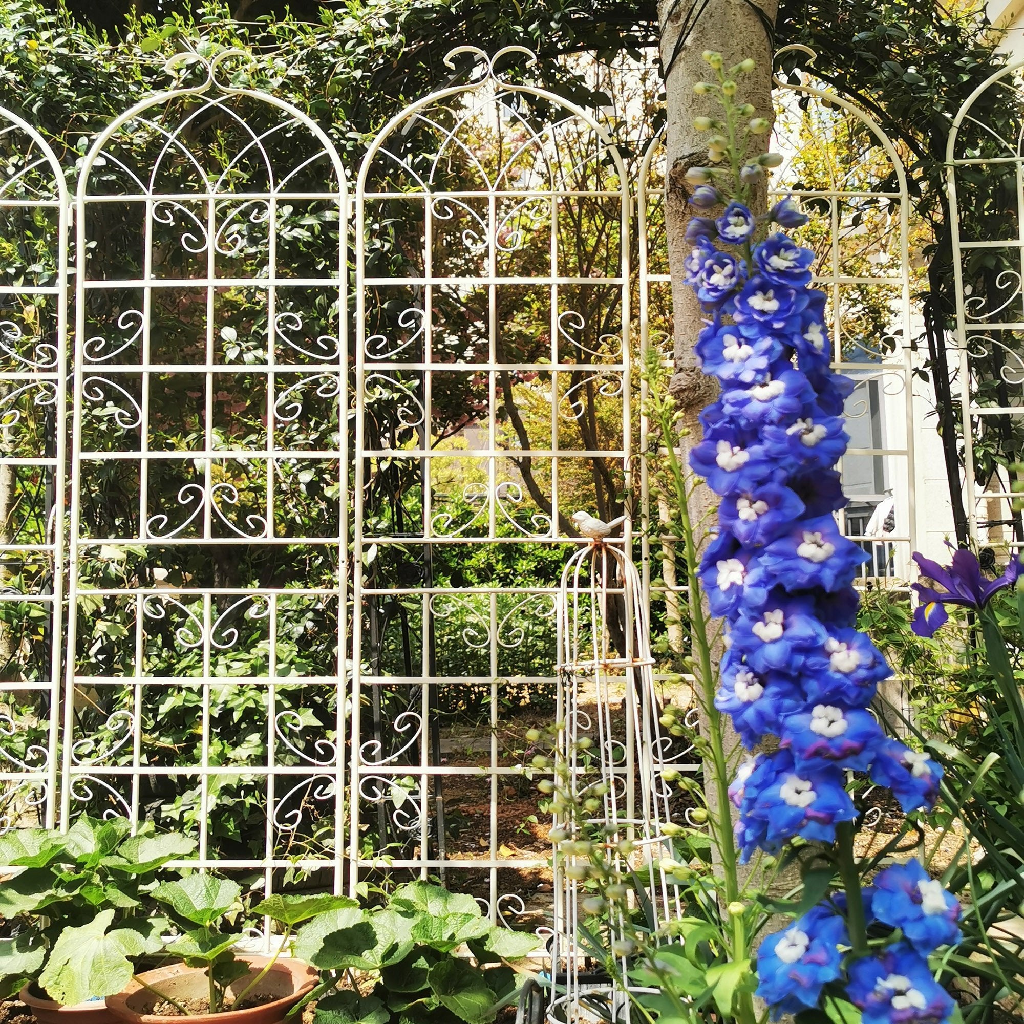 4 Pack Metal Garden Trellis 86.7 x 19.7 Rustproof Trellis for Climbing ...