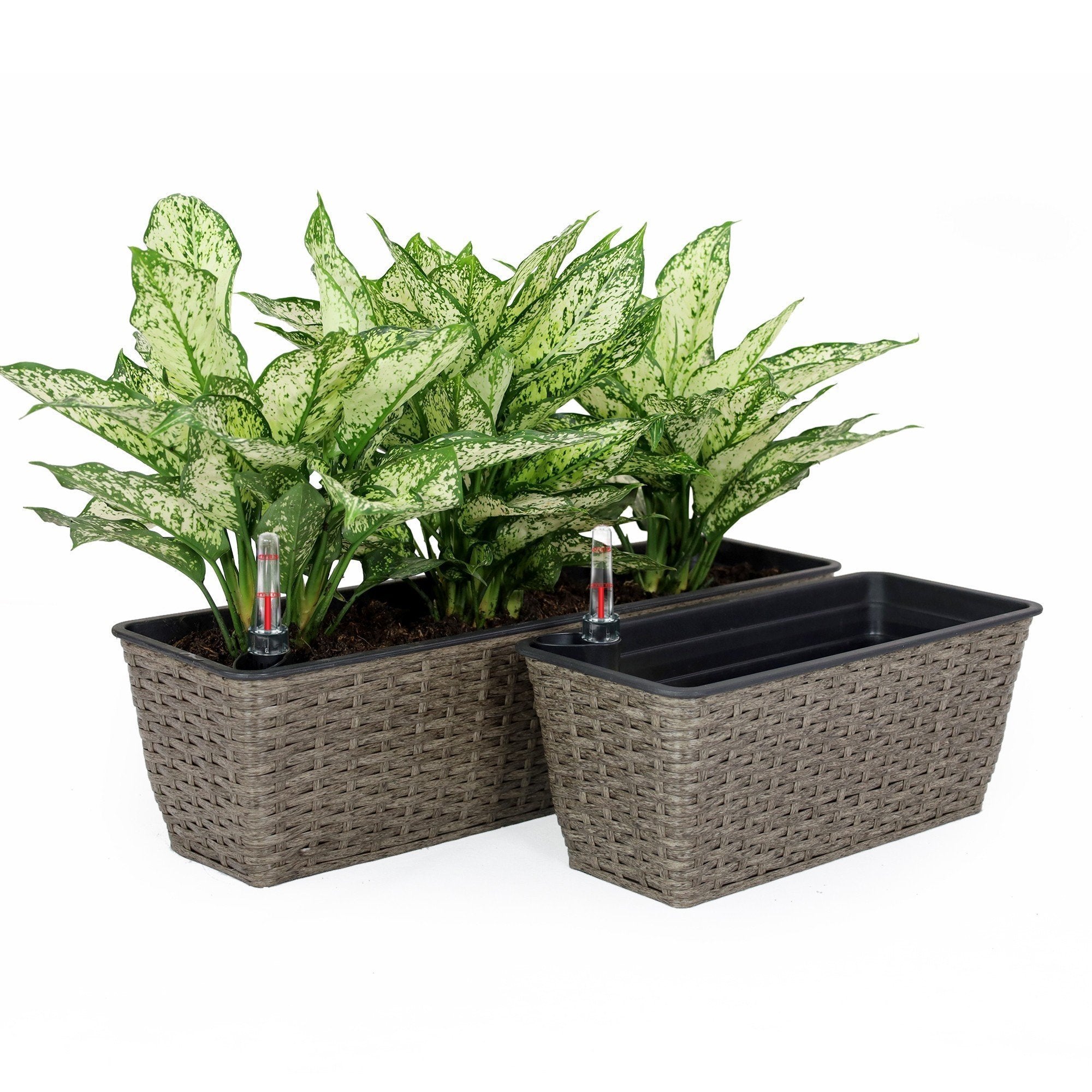 2 - Pack Self - watering Planter - Hand Woven Wicker - Rectangular - Dark Gray - Tuesday Morning - Pots & Planters