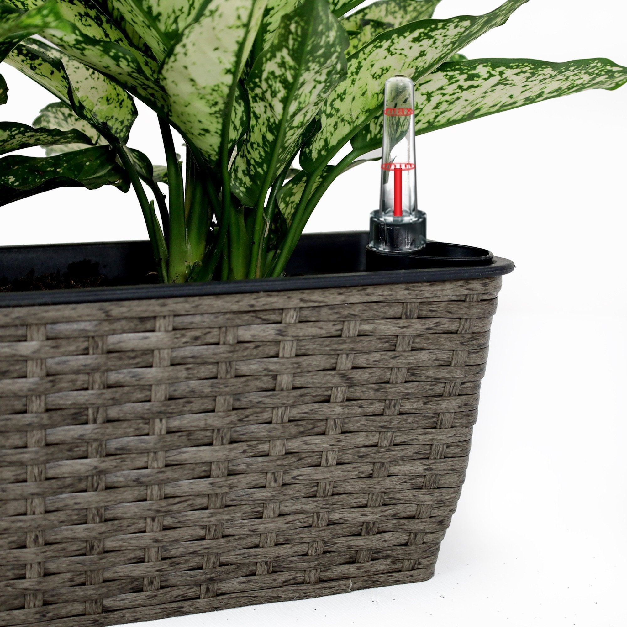 2 - Pack Self - watering Planter - Hand Woven Wicker - Rectangular - Dark Gray - Tuesday Morning - Pots & Planters