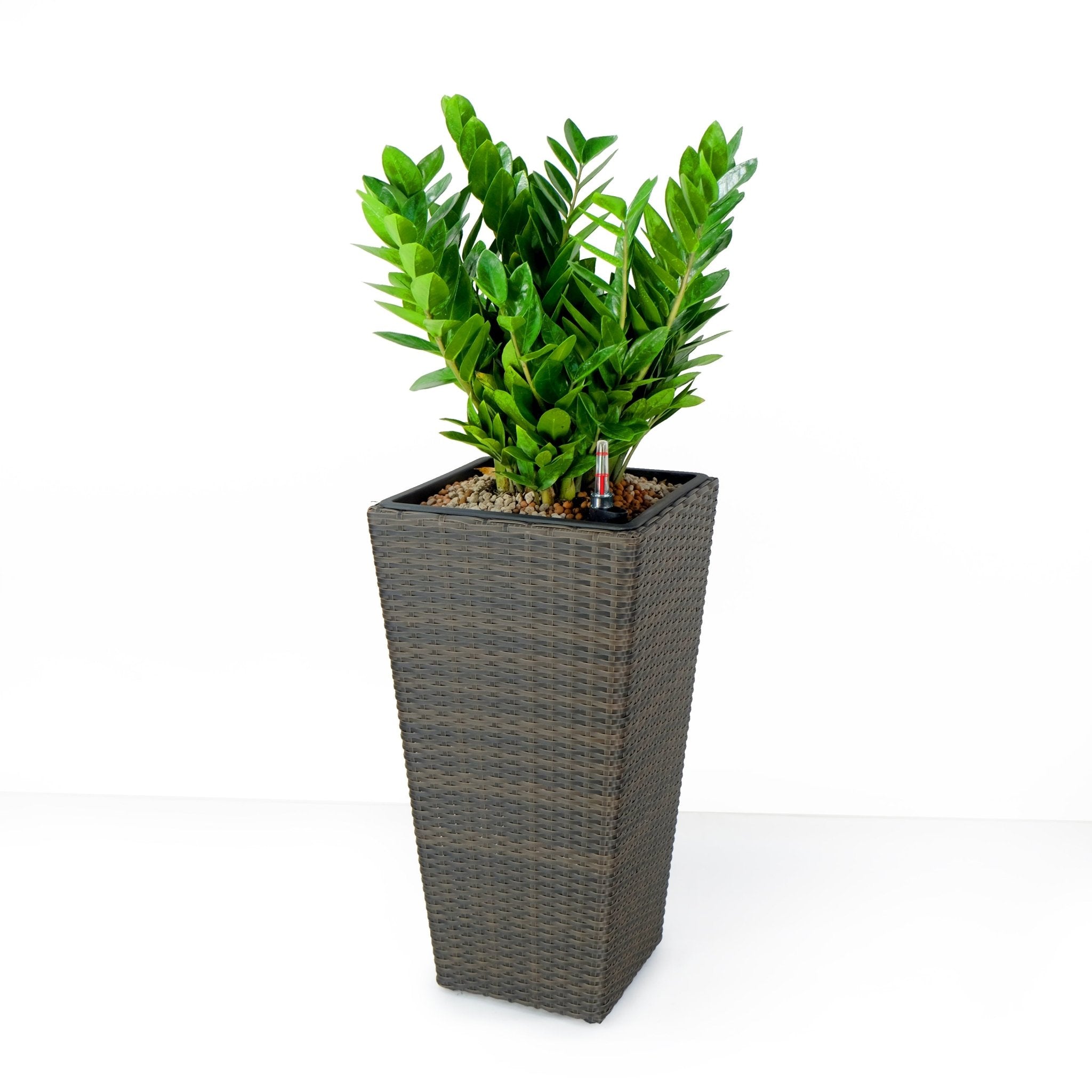 2 - Pack Self - watering Planter - Hand Woven Wicker - Square - Expresso - Tuesday Morning - Pots & Planters