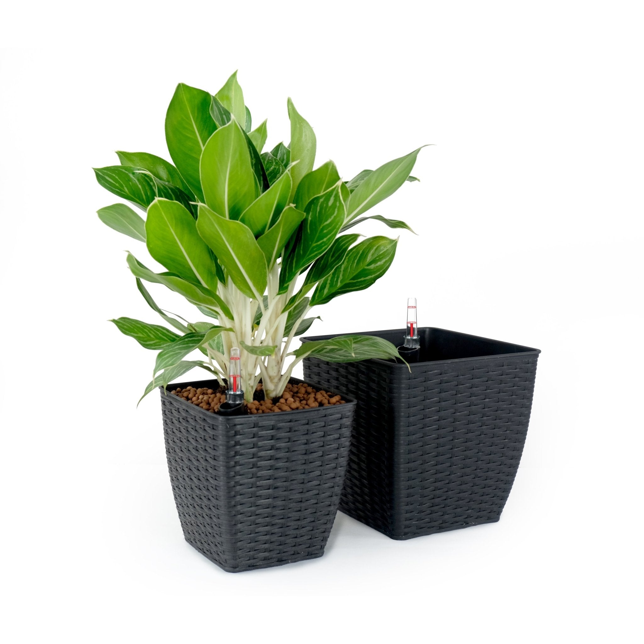 2 - Pack Self - watering Planter - Hand Woven Wicker - Thin Square - Espresso - Tuesday Morning - Pots & Planters