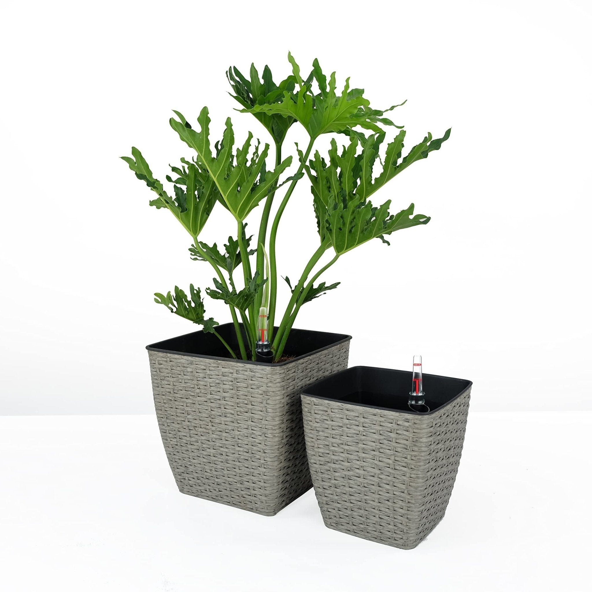 2 - Pack Self - watering Planter - Hand Woven Wicker - Thin Square - Tuesday Morning - Pots & Planters