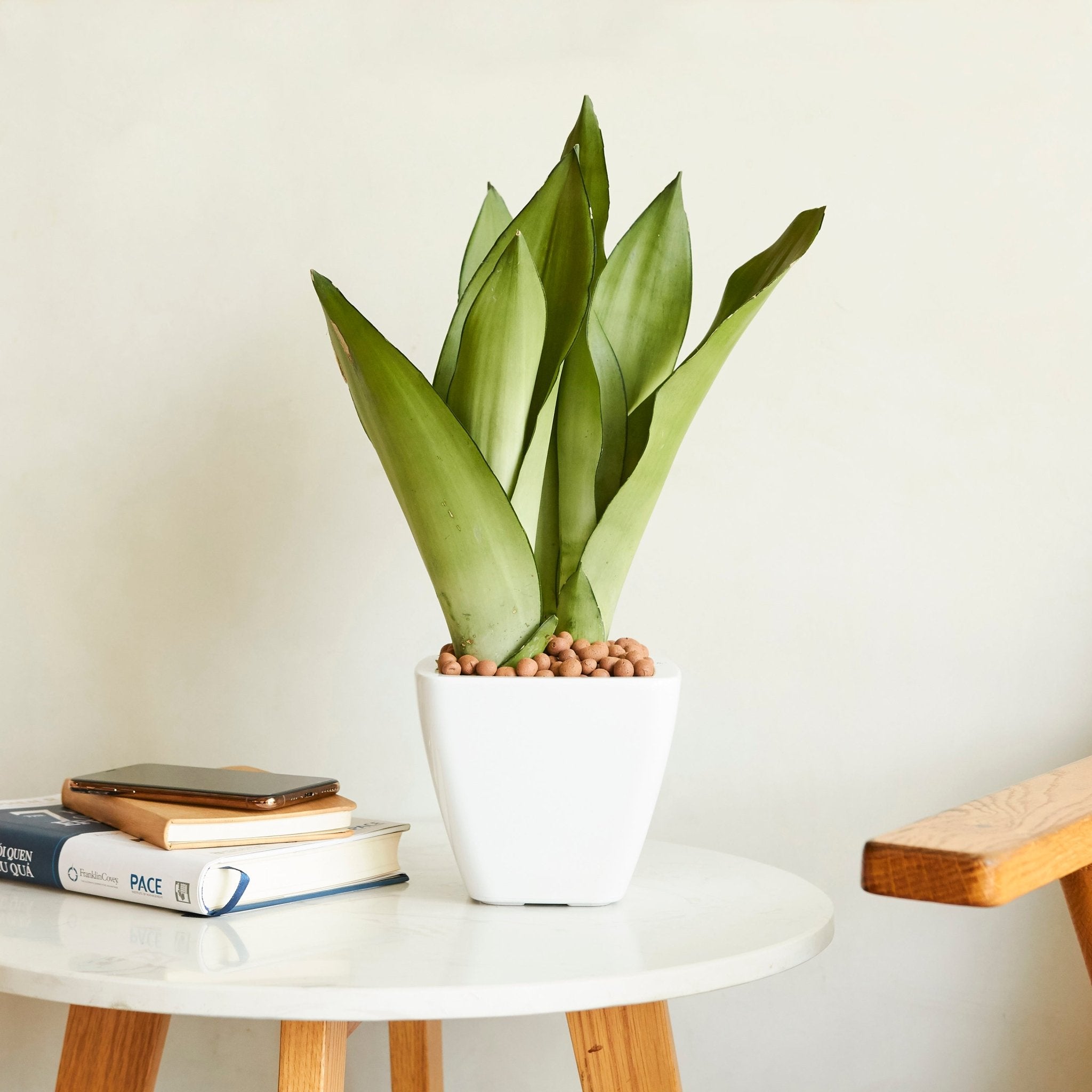 2 - Pack Smart Self - watering Planter Pot for Indoor and Outdoor - White - Square Cone - Tuesday Morning - Pots & Planters