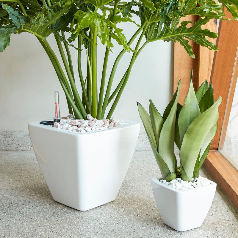 2 - Pack Smart Self - watering Planter Pot for Indoor and Outdoor - White - Square Cone - Tuesday Morning - Pots & Planters