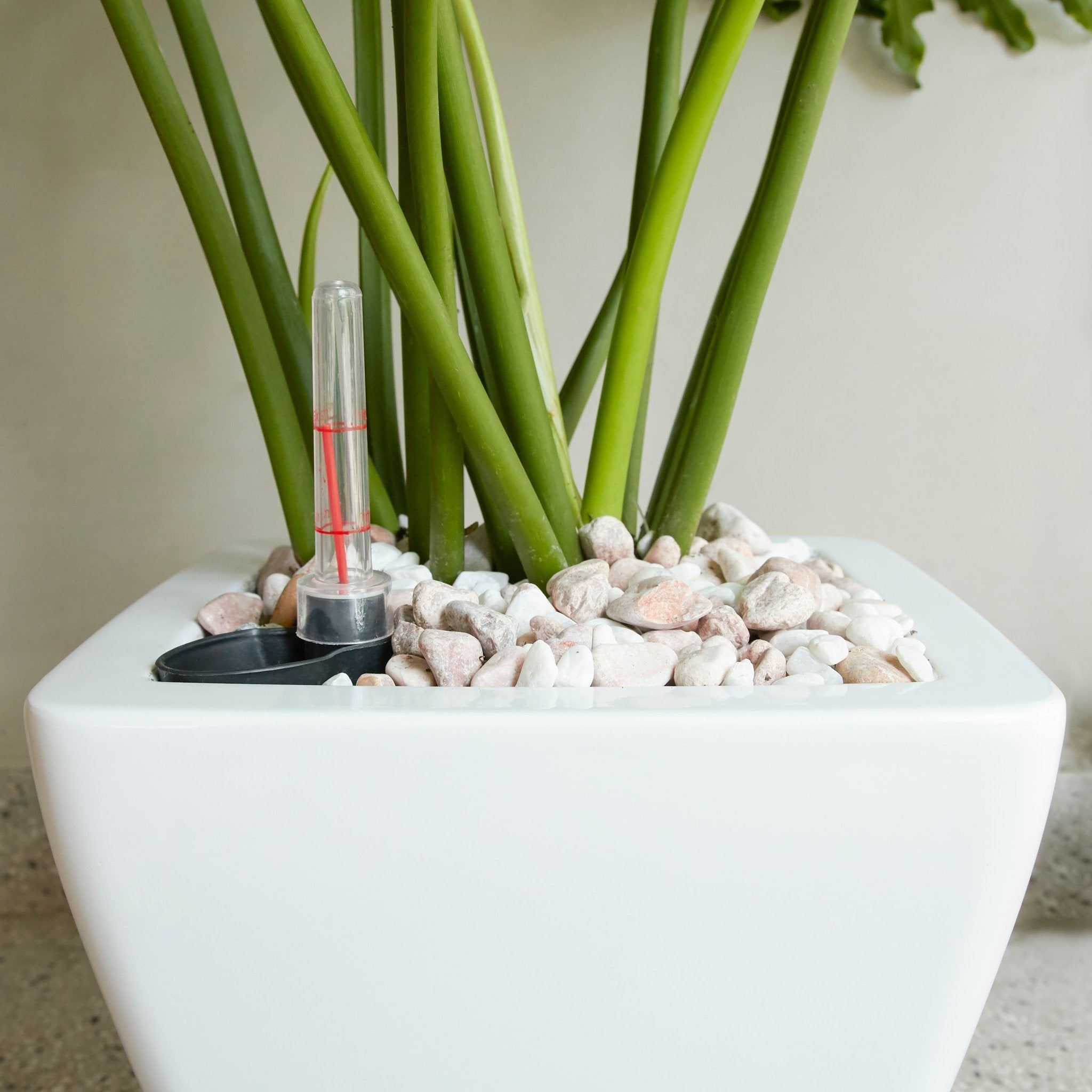 2 - Pack Smart Self - watering Planter Pot for Indoor and Outdoor - White - Square Cone - Tuesday Morning - Pots & Planters