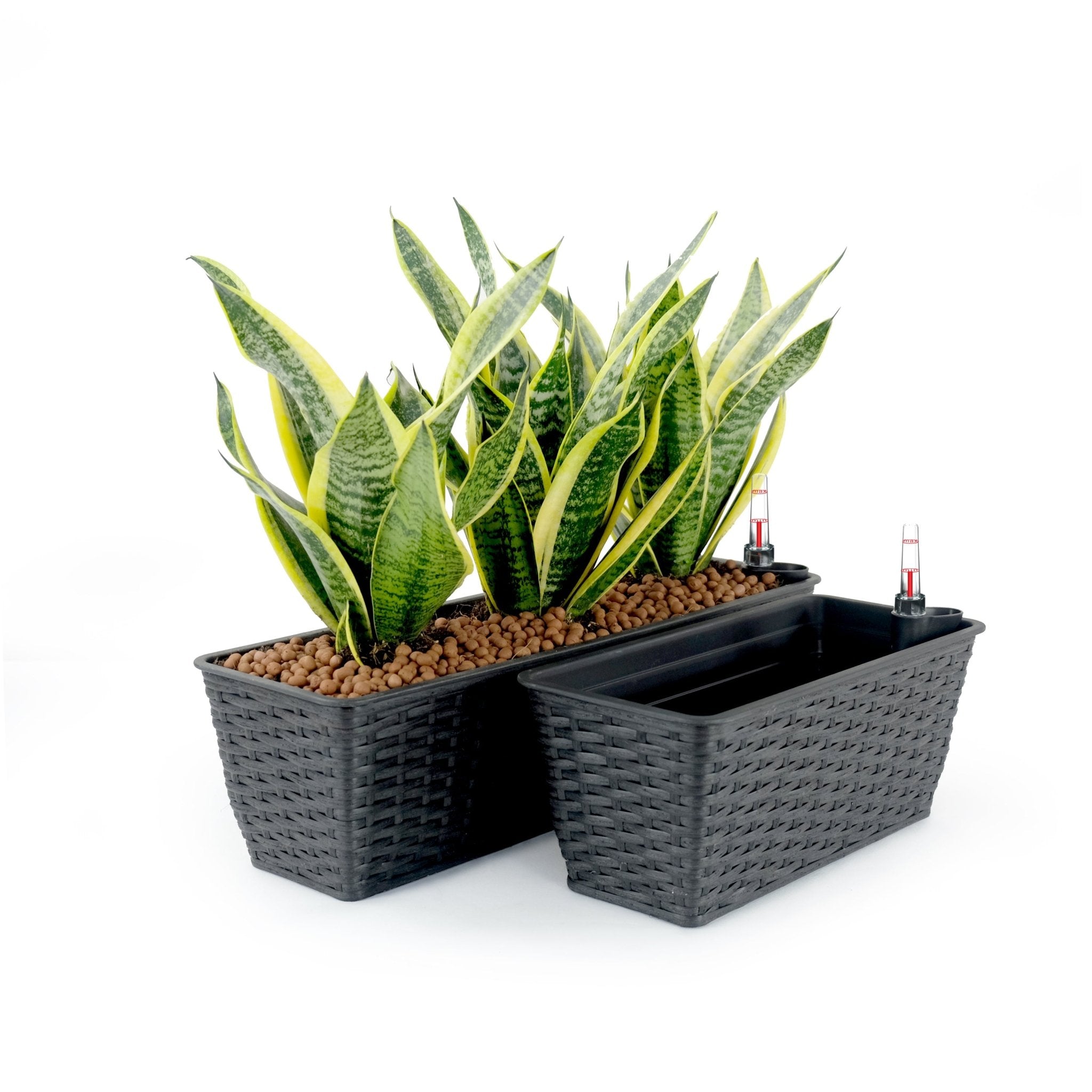 2 - Pack Smart Self - watering Rectangle Planter for Indoor and Outdoor - Hand Woven Wicker - Espresso - Tuesday Morning - Pots & Planters