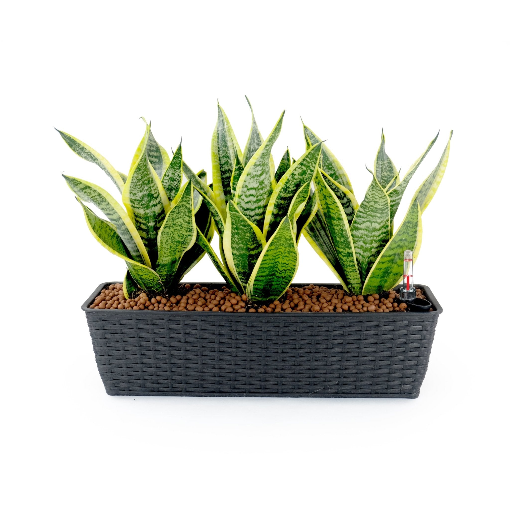 2 - Pack Smart Self - watering Rectangle Planter for Indoor and Outdoor - Hand Woven Wicker - Espresso - Tuesday Morning - Pots & Planters