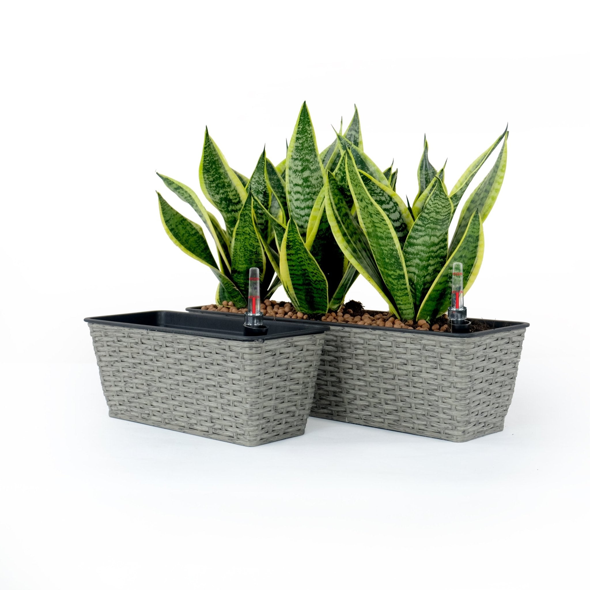 2 - Pack Smart Self - watering Rectangle Planter for Indoor and Outdoor - Hand Woven Wicker - Gray - Tuesday Morning - Pots & Planters