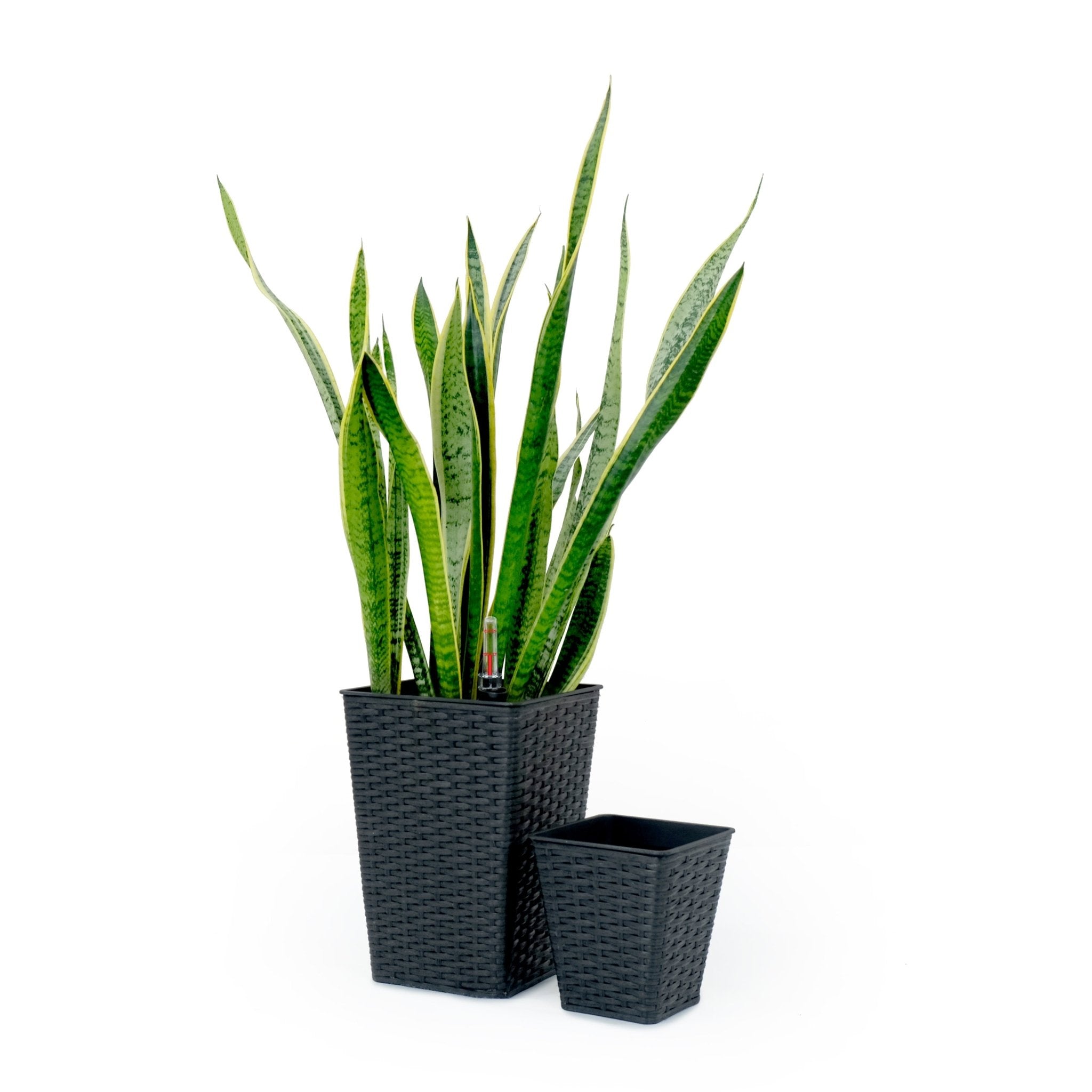 2 - Pack Smart Self - watering Square Planter for Indoor and Outdoor - Hand Woven Wicker - Espresso - Tuesday Morning - Pots & Planters