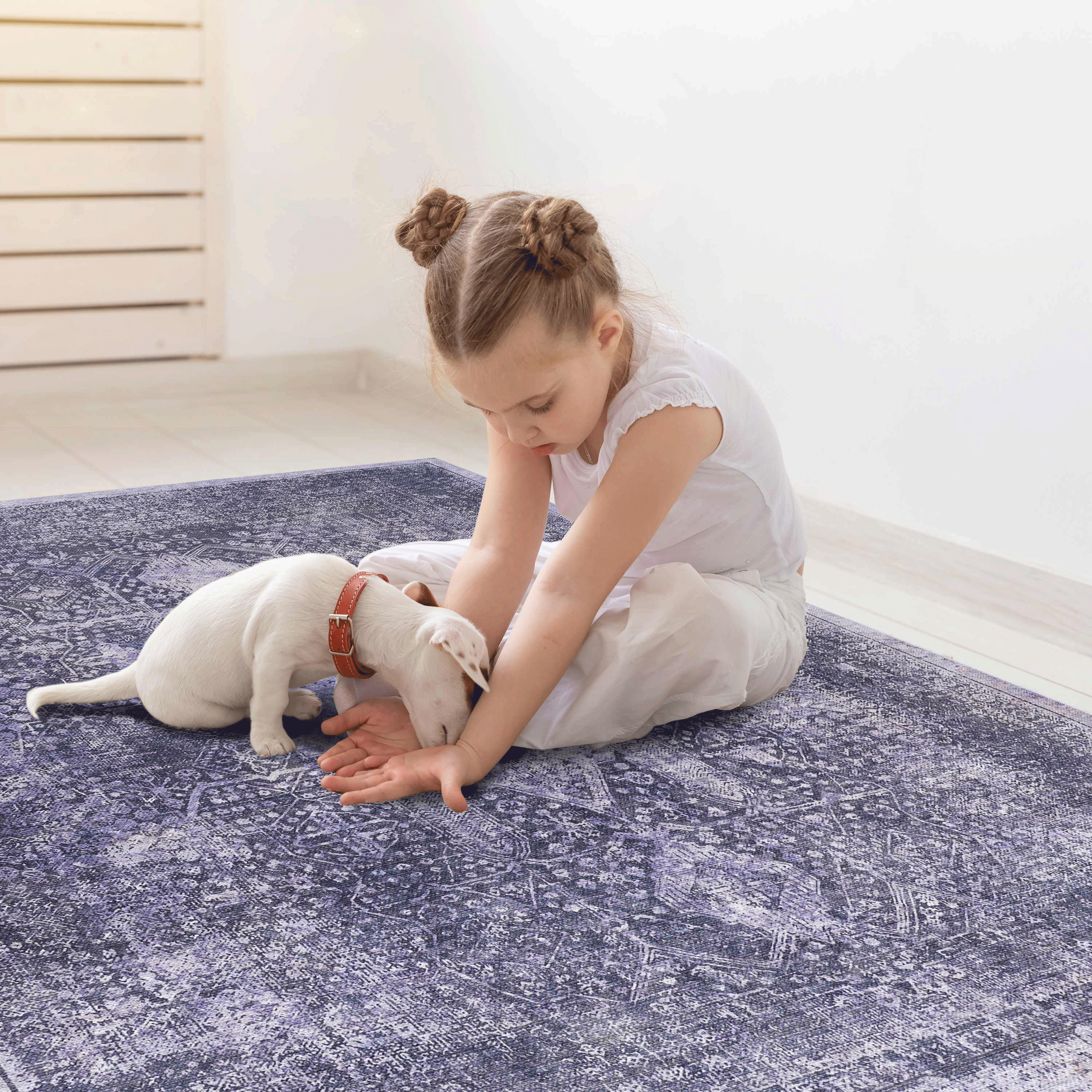 Naar Washable Area Rugs, Low-Pile, Non-Slip, Non-Shedding, Foldable, Kid & Pet Friendly