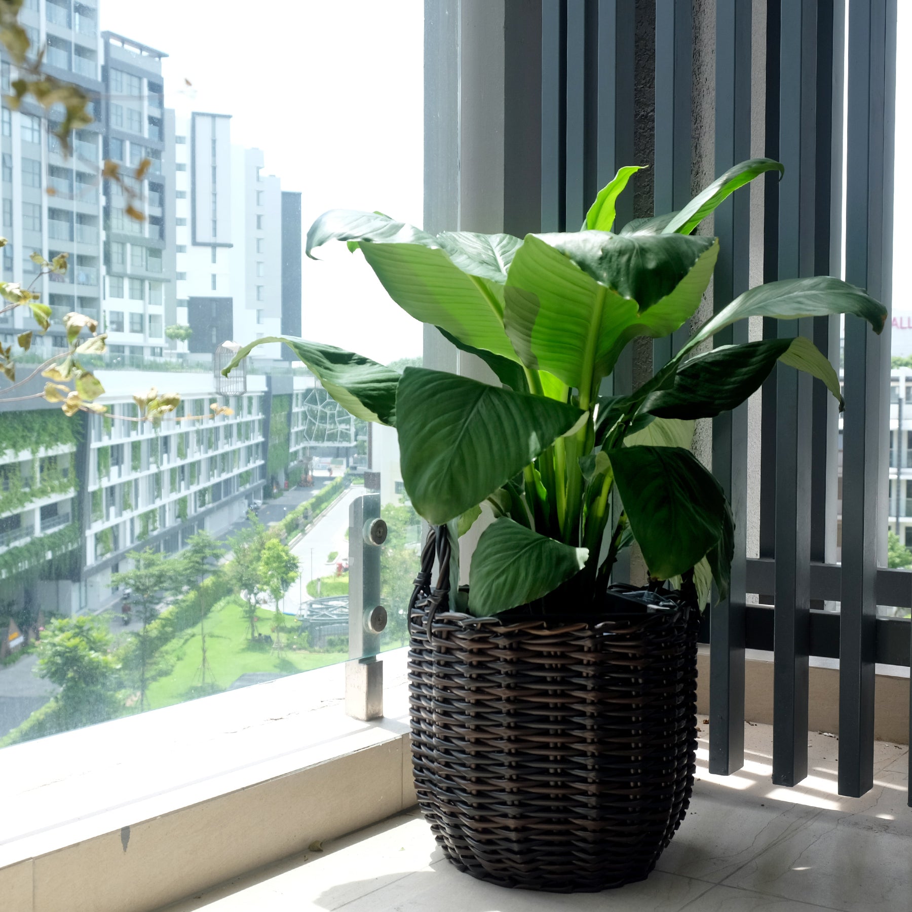 3 - Pack Wicker Multi - purposes Basket with Handle - Planter Basket - Espresso - Tuesday Morning - Pots & Planters