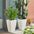 Set of 2 Large Garden Outdoor Planter Pots for Plants with Drainage Hole