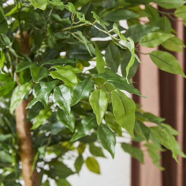 5ft. Faux Ficus Tree in Pot - Tuesday Morning - Faux Trees