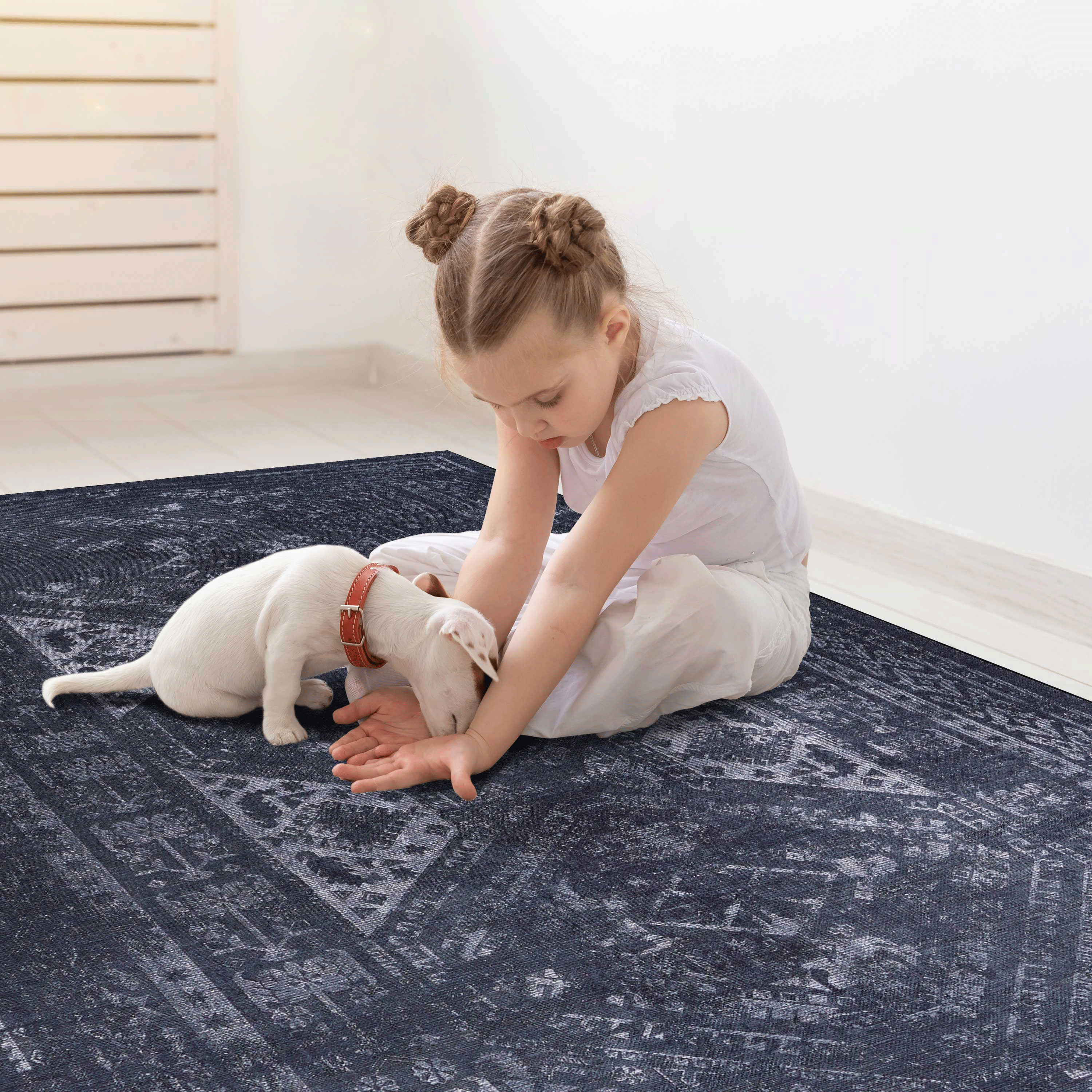 Naar Washable Area Rugs, Low-Pile, Non-Slip, Non-Shedding, Foldable, Kid & Pet Friendly