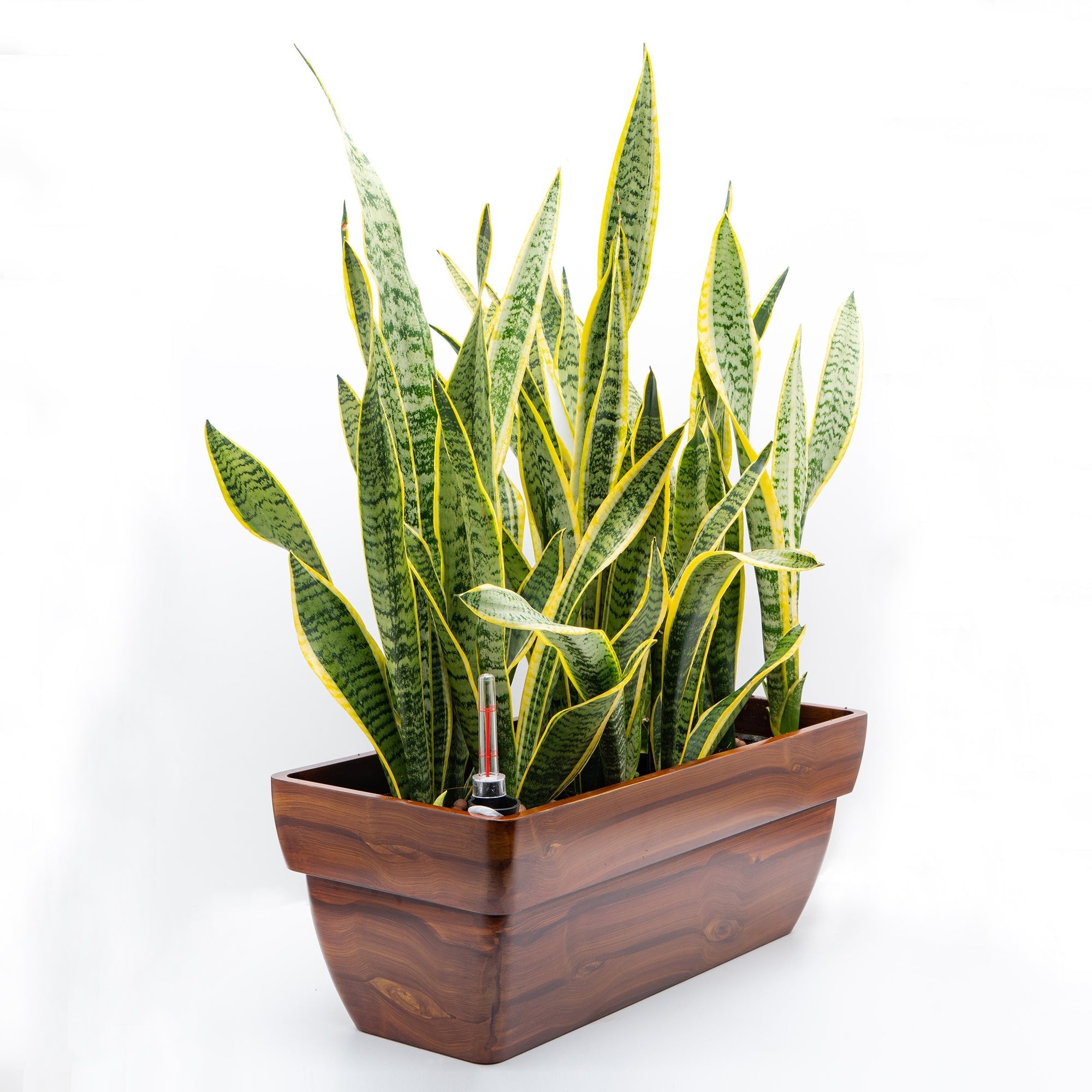 7.8 in. Dark Wood Plastic Rectangle Self - watering Planter Pot - Tuesday Morning - Pots & Planters