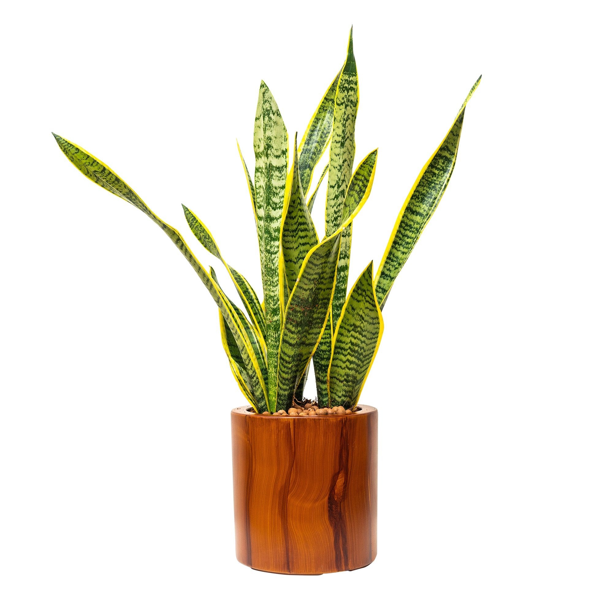 7.8 in. Dark Wood Plastic Self - watering Planter Pot - Tuesday Morning - Pots & Planters