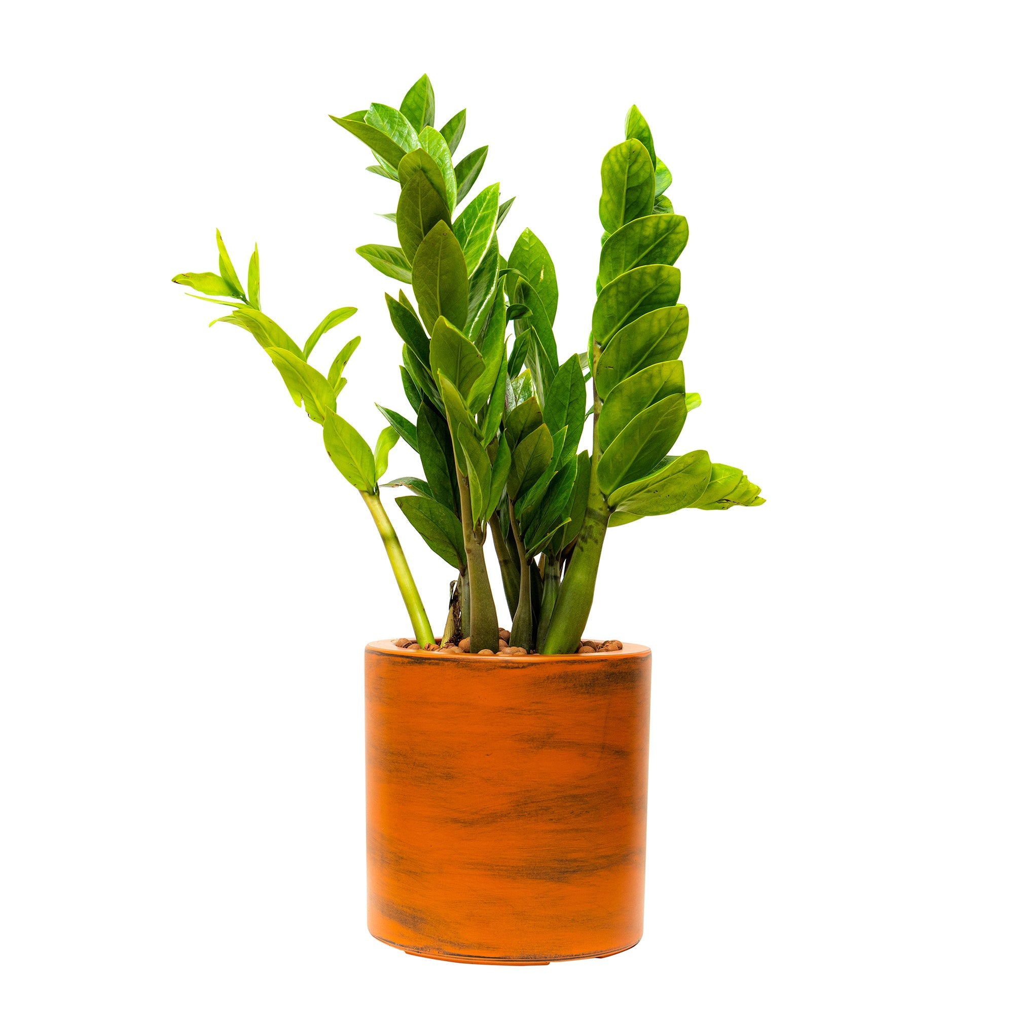 7.8 in. Painted Plastic Self - watering Planter Pot - Tuesday Morning - Pots & Planters