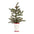 Mini Pine Tree with Ceramic Pot (Set of 2)