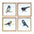 Wood Framed Bird Art Print (Set of 4)