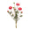 Red Ranunculus Bundle (Set of 2)