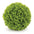 Boxwood Foliage Orb (Set of 2)