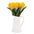 Tulip Floral Pitcher Vase (Set of 2)