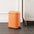 Roland Mini Step-Open Trash Can