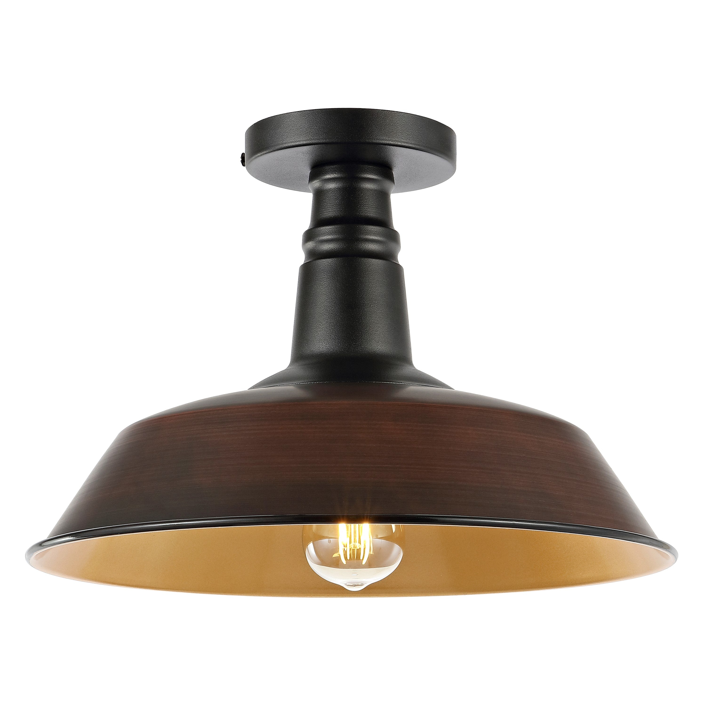 Camila 1-Light Classic Industrial Indoor/Outdoor Iron LED Semi Flush Mount