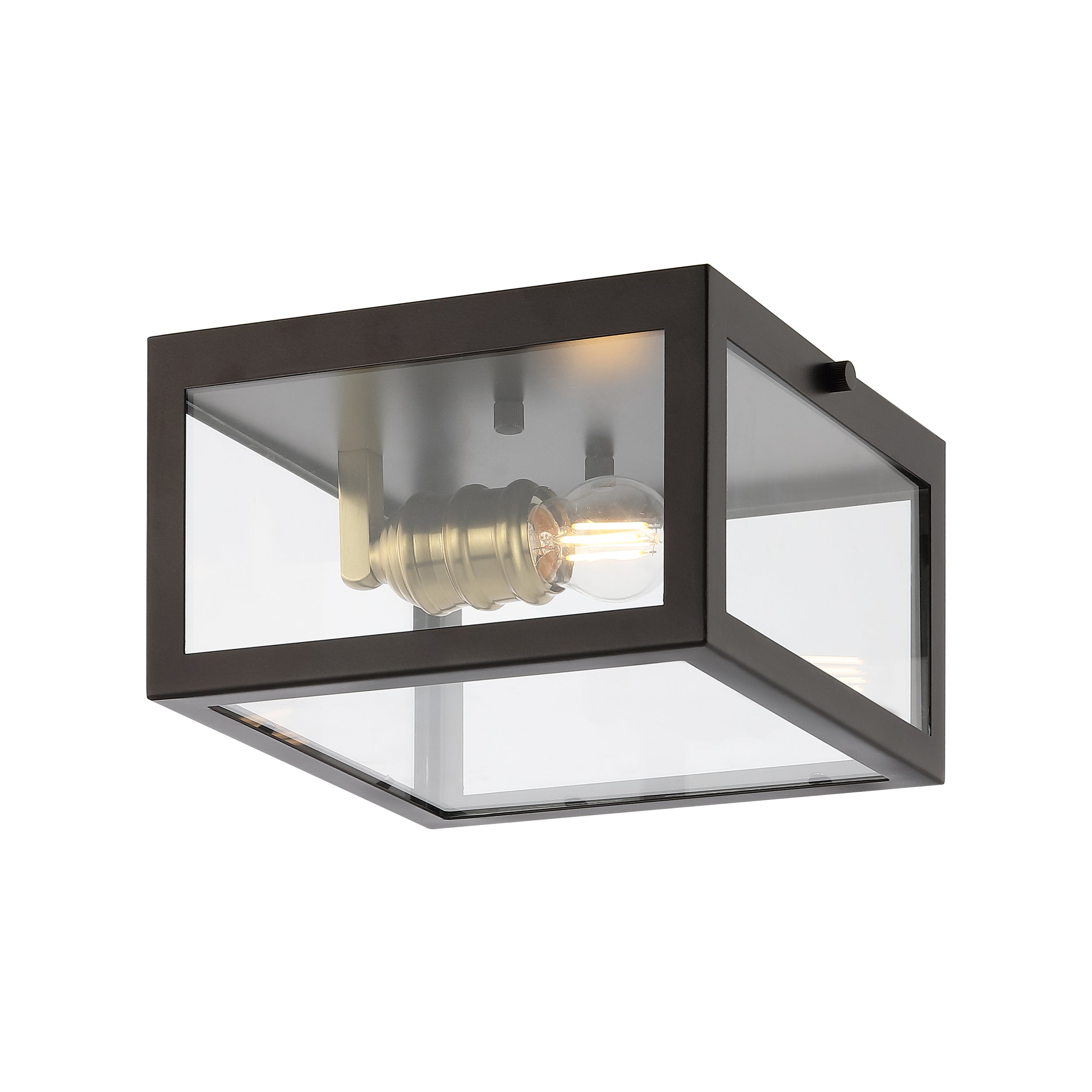 Eleanor 1-Light Farmhouse Industrial Square Iron/Glass Case LED Flush Mount