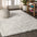 Mercer Shag Plush Area Rug