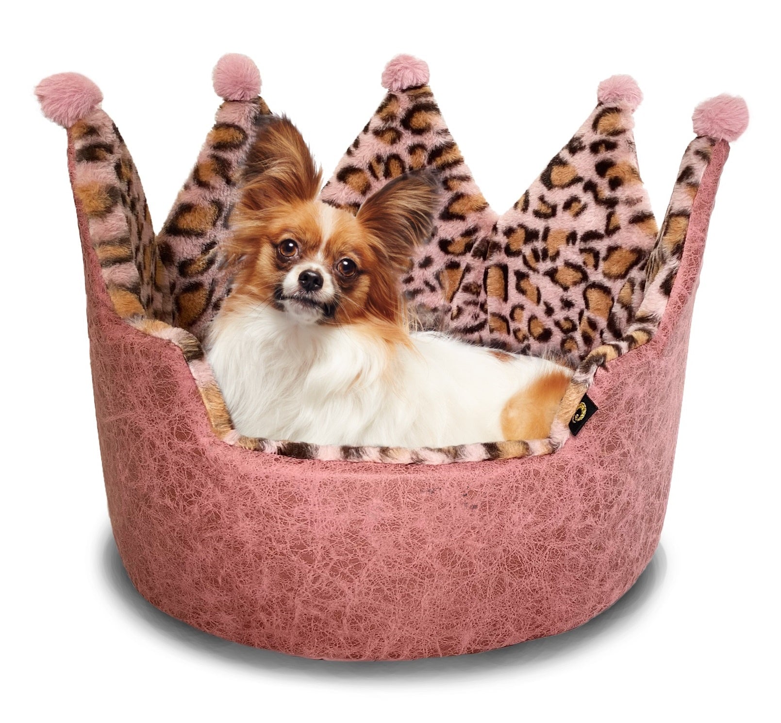 Dream Black Label Leopard Print Crown Dog Bed