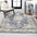 Bausch Bohemian Distressed Chenille Machine-Washable Area Rug