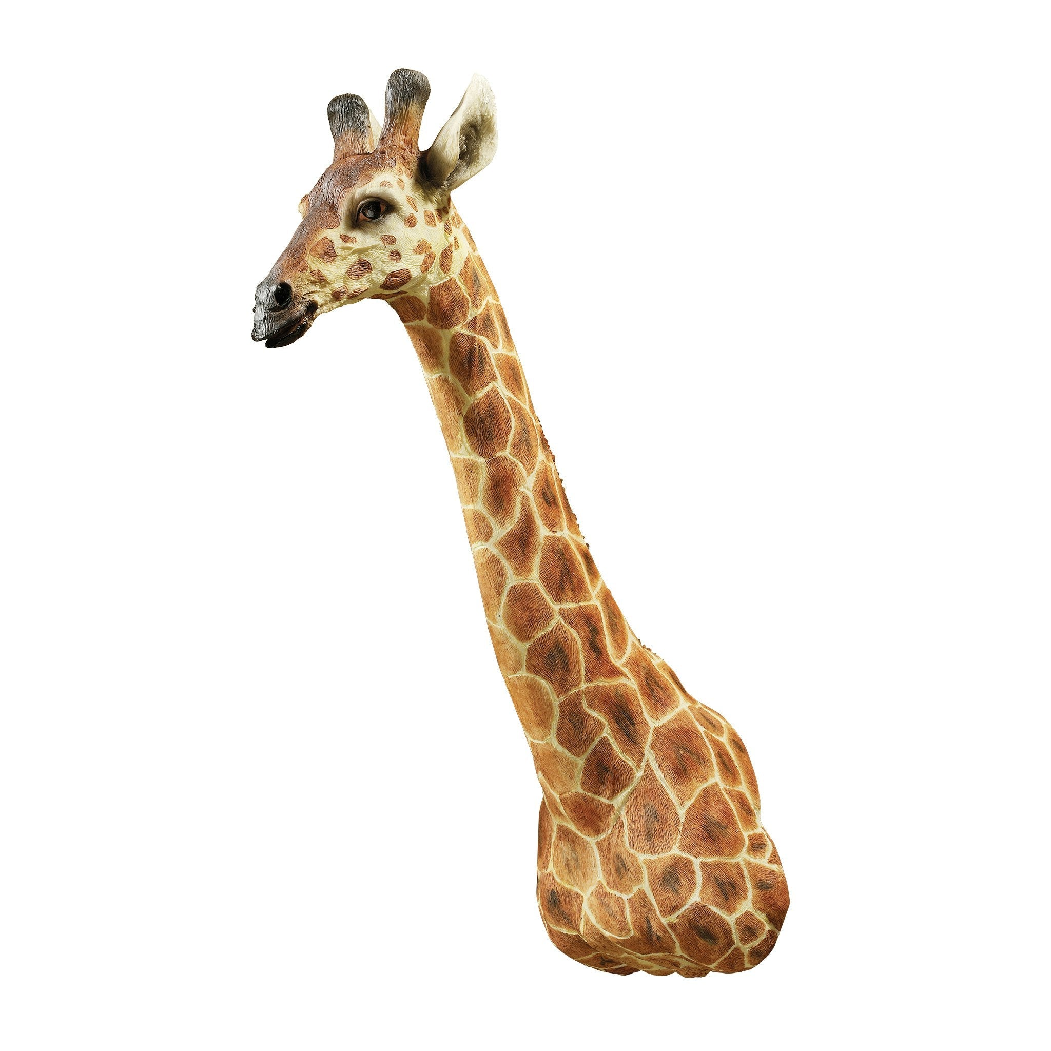 African Giraffe Trophy Wall Sculpture - Tuesday Morning - Wall Art