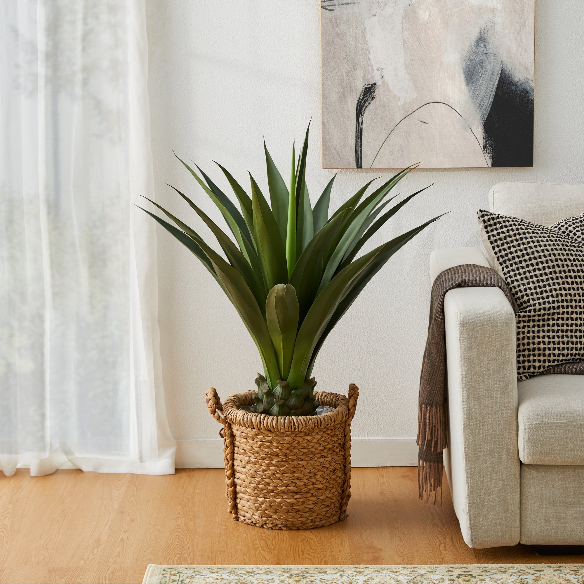 Agave Plant in Pot - Tuesday Morning - Pots & Planters