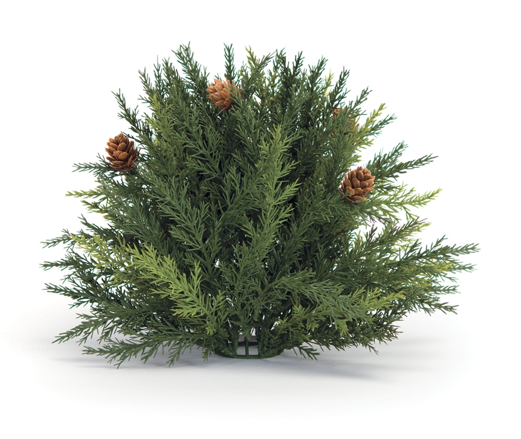 Arborvitae Half Orb 8.5