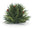 Arborvitae Half Orb 8.5"D - Tuesday Morning - Decorative Objects