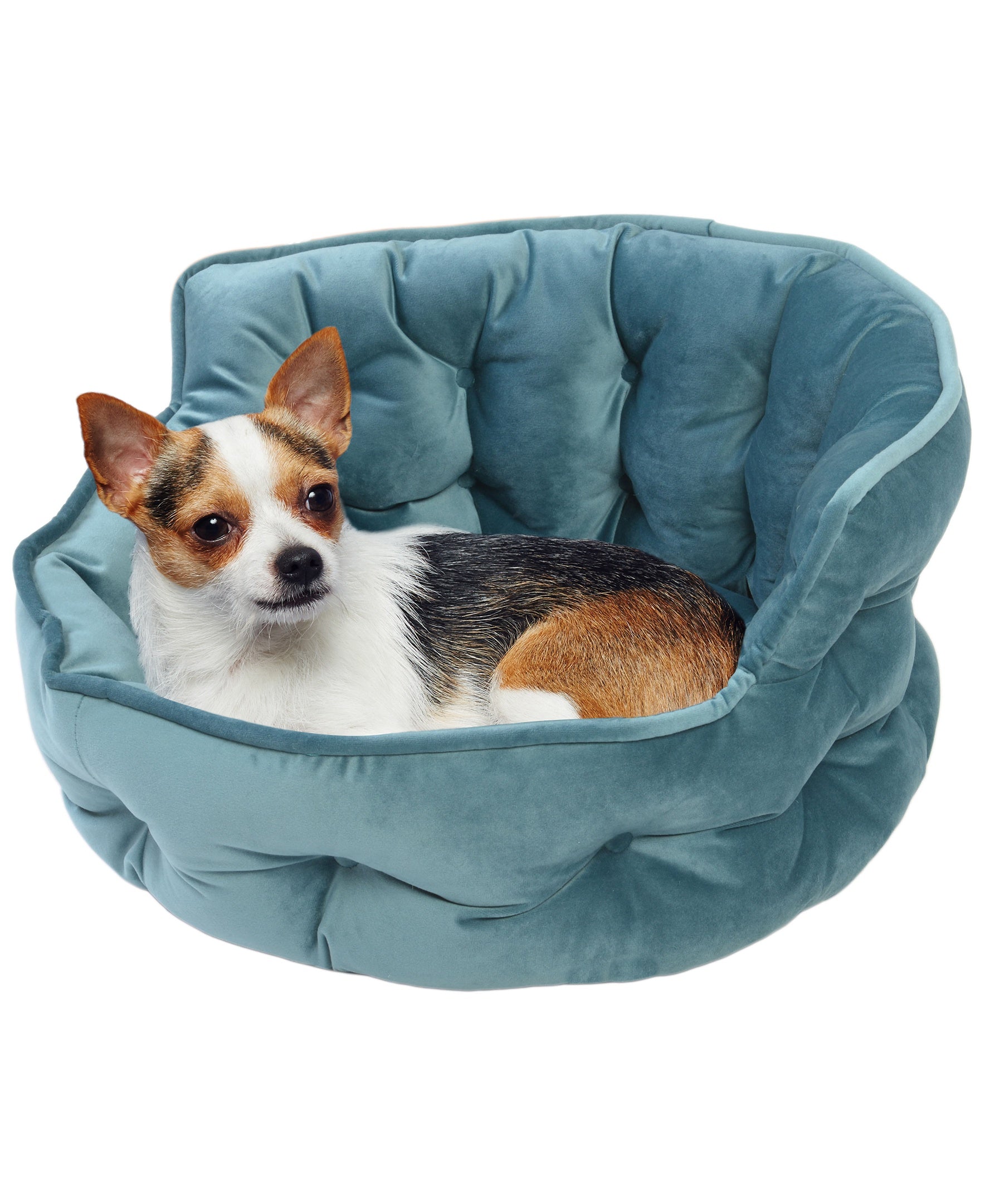 Details Ultra Plush Mini Tufted Velvet Round Cuddler Pet Bed