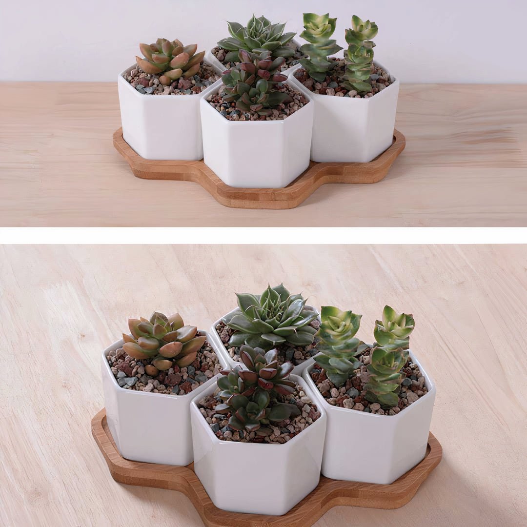 Beehive White Ceramic Succulent Planter - Tuesday Morning - Pots & Planters